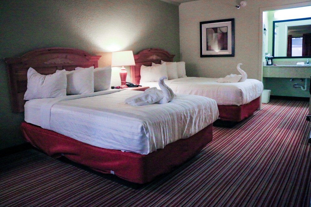 Suite Dreams Hotel - photo 15