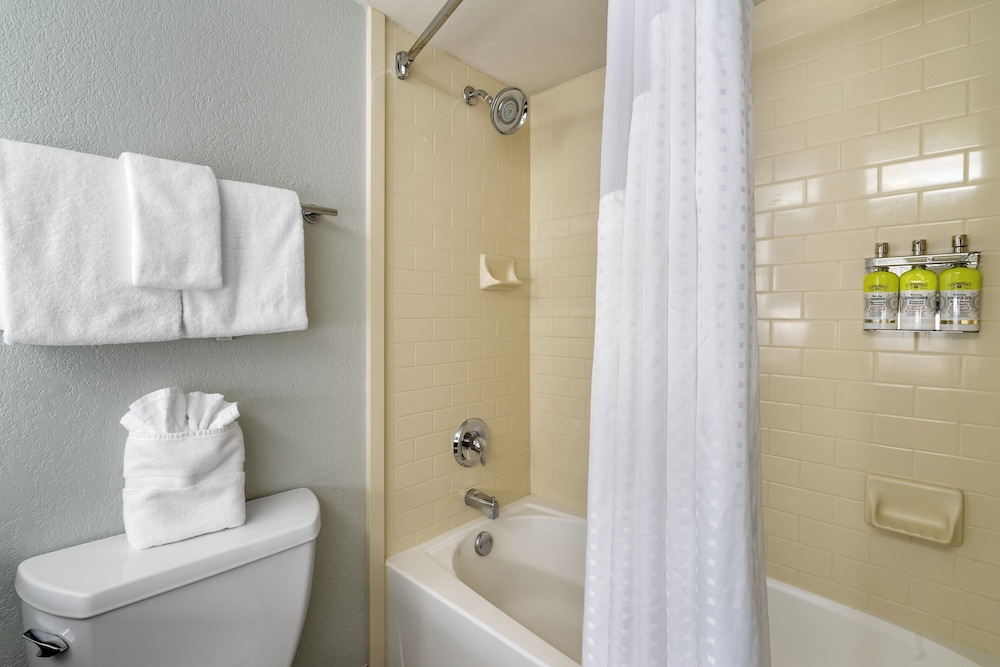 Holiday Inn Express Cape Coral Fort Myers Area by IHG - photo 20