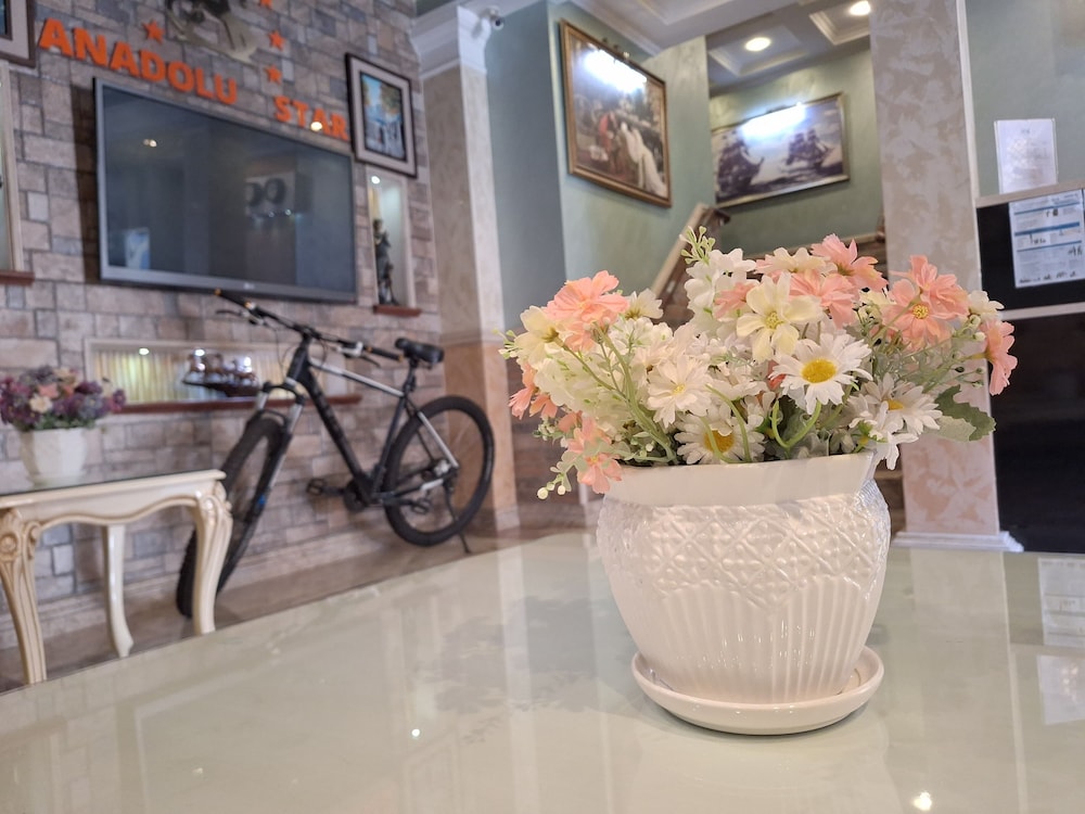 Anadolu Star Hotel & Casino - carbon neutral hotel in Batumi