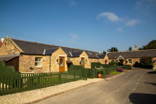 Chiff Chaff in Belford, United Kingdom