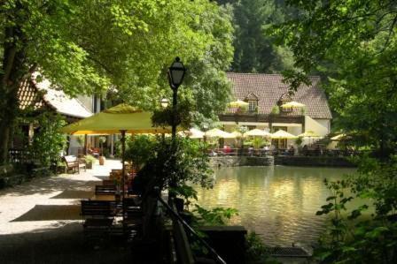 Waldhotel Silbermühle — hotel in Bad Meinberg