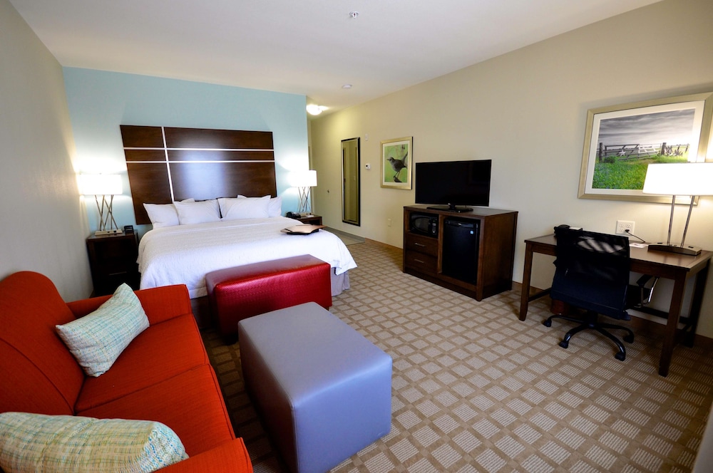Hampton Inn & Suites Hutto Austin - photo 13