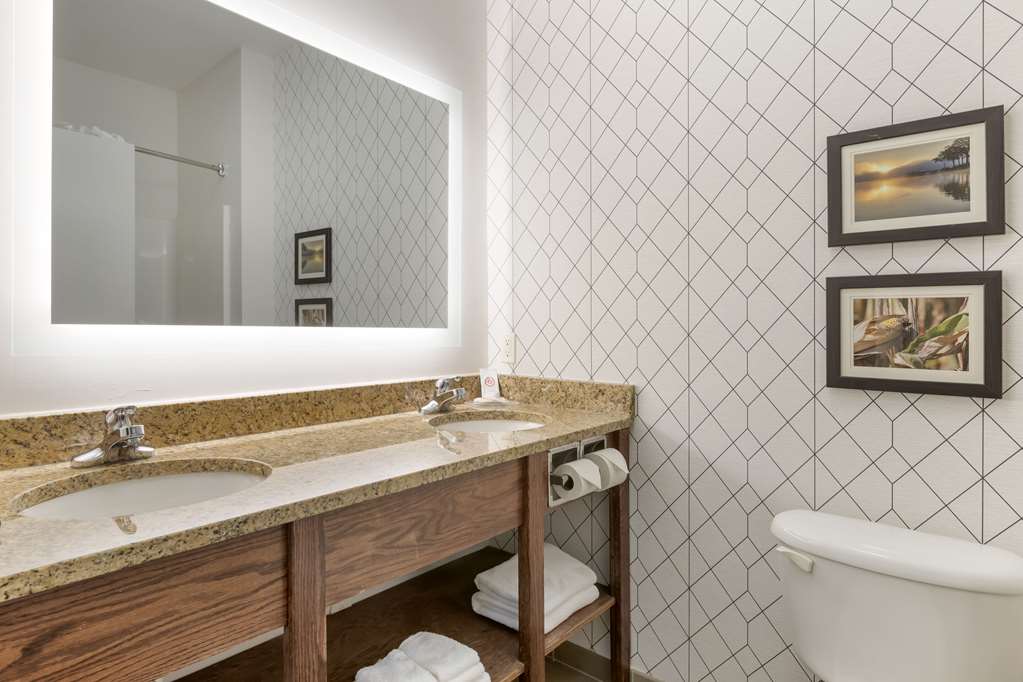 Comfort Inn & Suites Davenport Quad Cities - photo 19