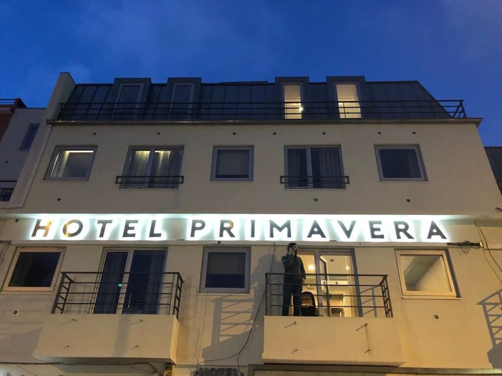 Primavera — Amadora — photo 2