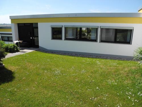 Uferschwalbe Hohwacht — Oldenburg — photo 2