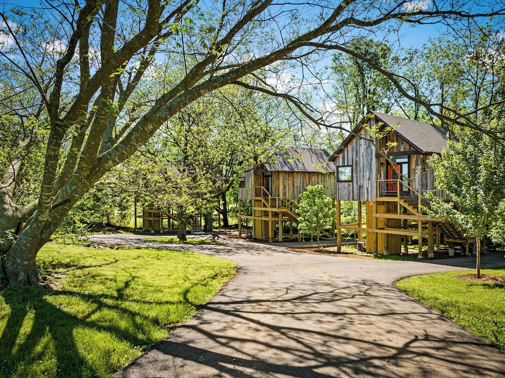 Fairway Treehouses - photo 34