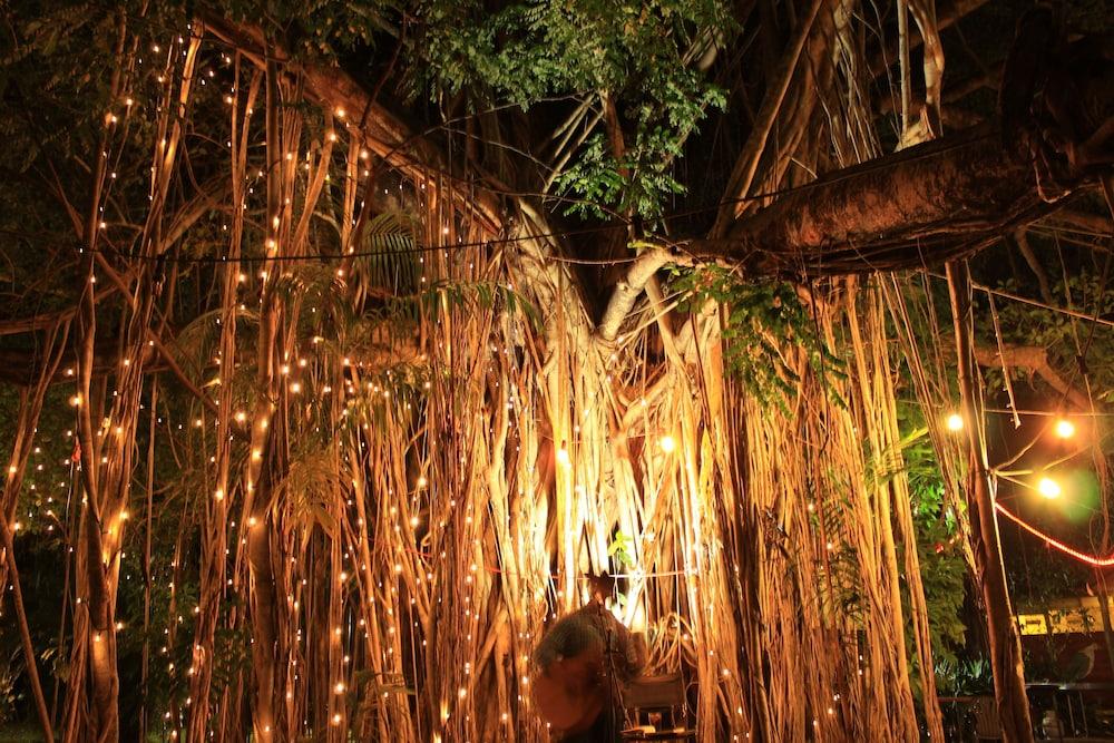 Banyan Tree Resort Campsite - last minute hotel in Unknown City