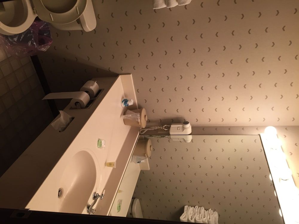 Dutch Mill Inn - photo 16