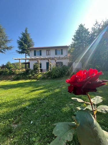 La Rosa Sul Lago — Osiglia