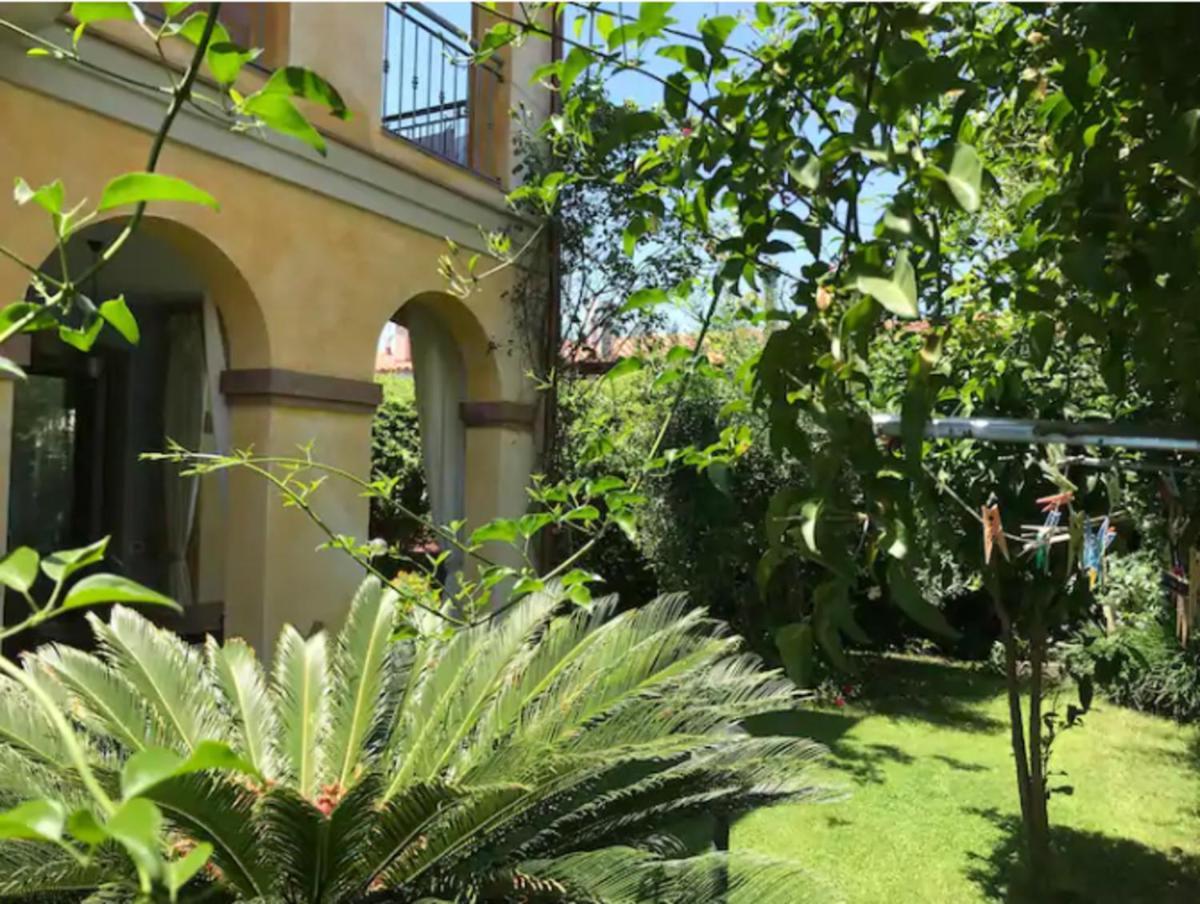 Junco in Villasimius, Italy