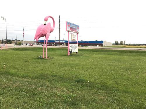 Flamingo Motel Marshalltown - photo 2