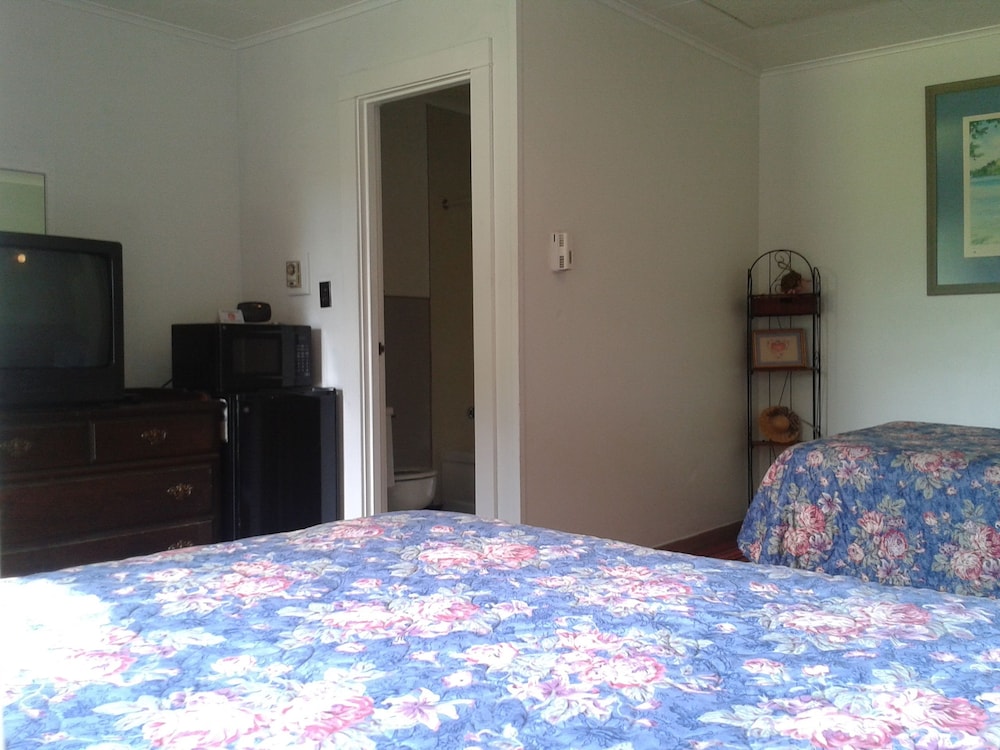 Cohocton Valley Inn - photo 4