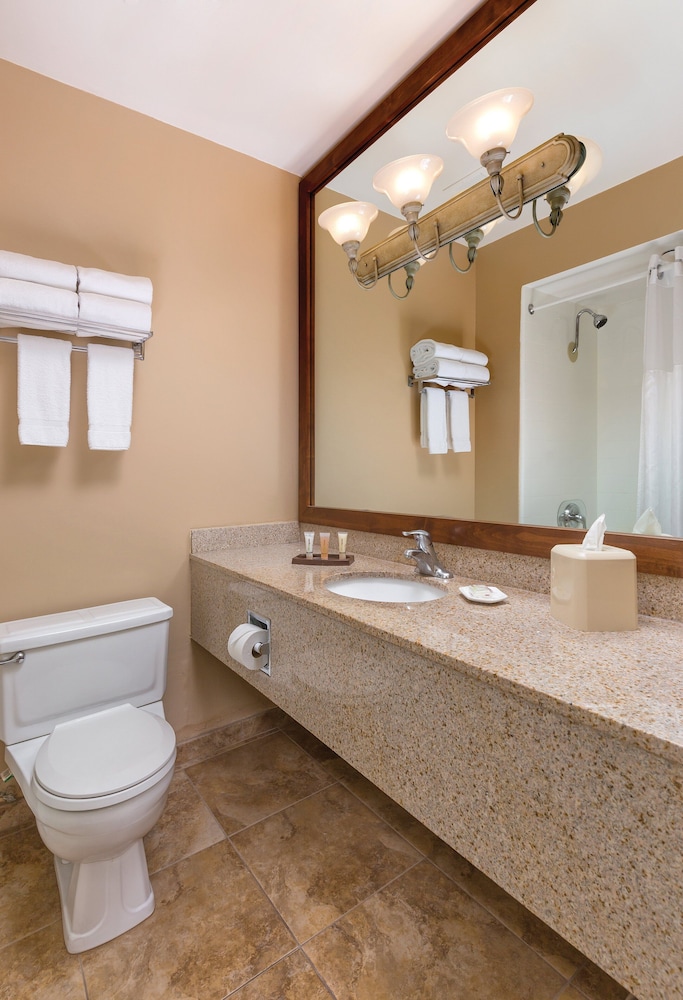 WorldMark Palm Springs Plaza Resort and Spa - photo 15