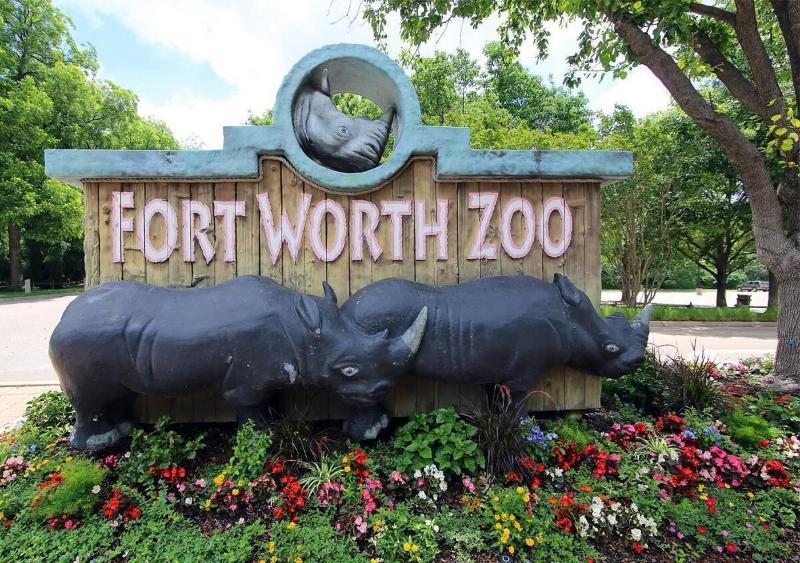 TownePlace Suites by Marriott Fort Worth Northwest Lake Worth - photo 22