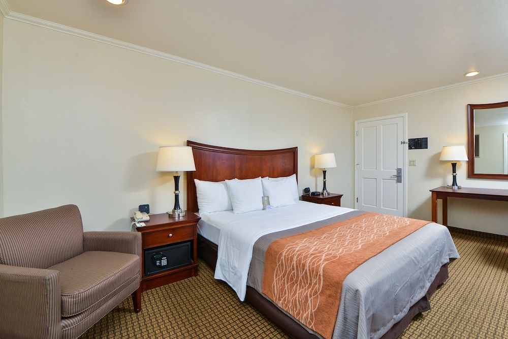 Blu Pacific Hotel - photo 11