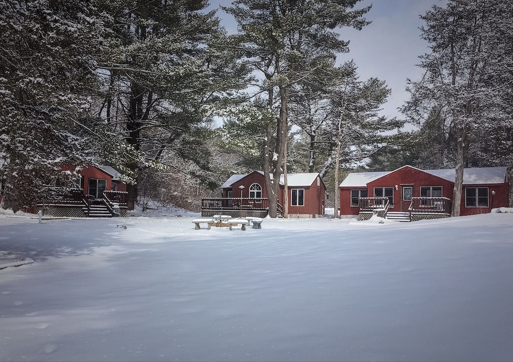 Silver Spruce Resort - photo 17