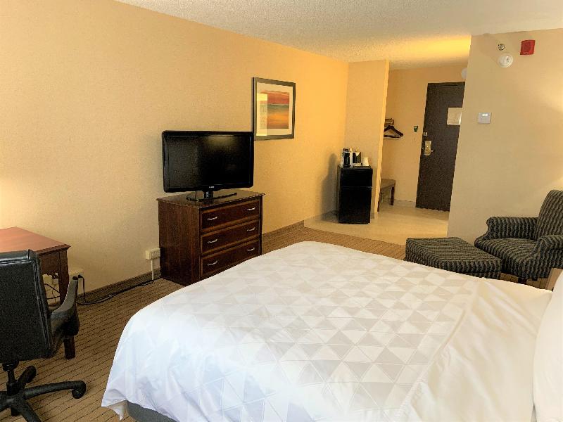 Holiday Inn & Suites Chicago Carol Stream by IHG - photo 32
