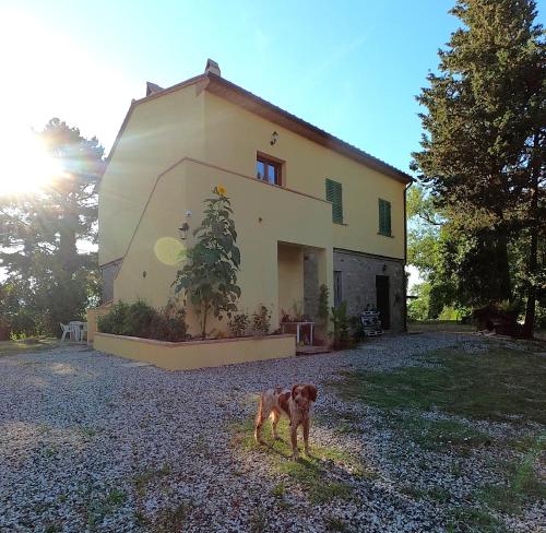 Seme di Luna — hotel in Canneto