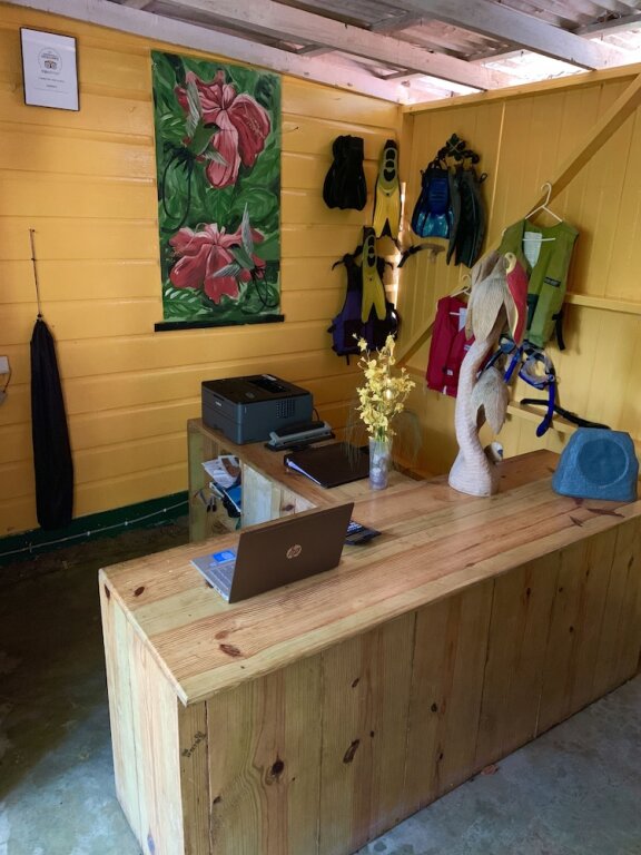 T Bird on the Cliffs in Negril, Jamaica
