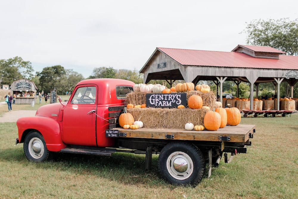 Holiday Inn Express & Suites Franklin Berry Farms by IHG - photo 81