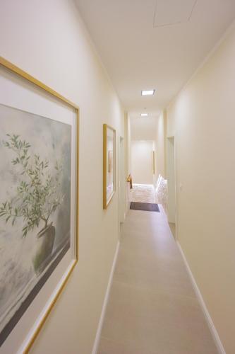 Olea Delux Rooms in Zadar, Croatia