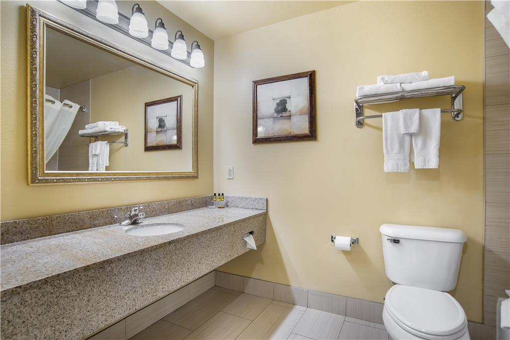 Best Western Plus Bessemer Hotel & Suites - photo 27