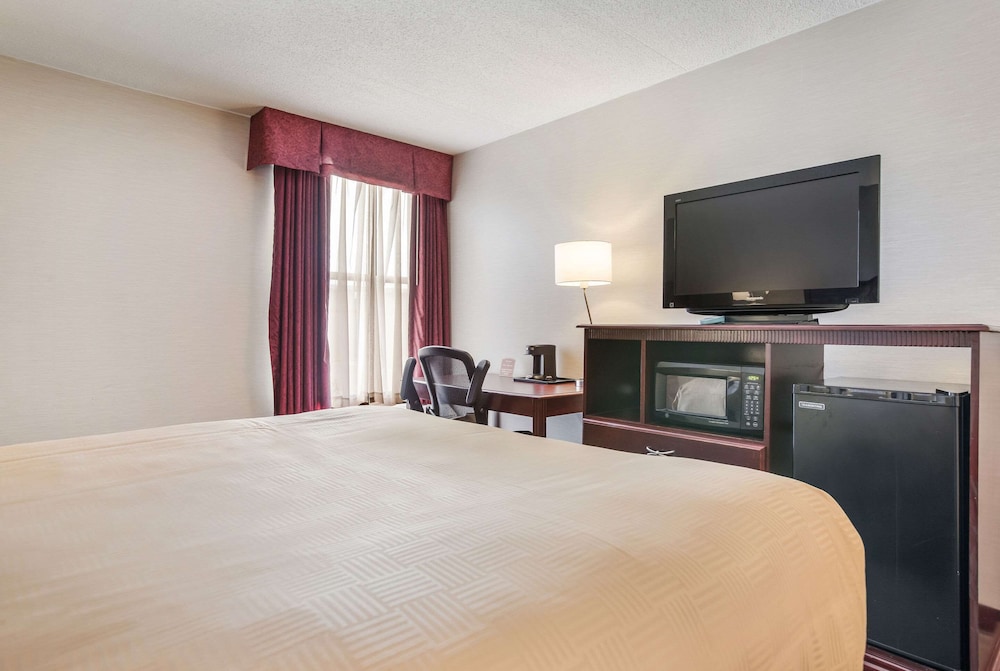 Clarion Inn & Suites Grand Rapids Airport - photo 30