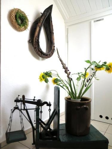 Rhodaer Grund in Erfurt, Germany