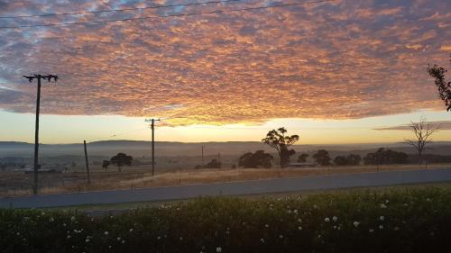 505 Conrod Straight Mount Panorama — Bathurst — photo 4