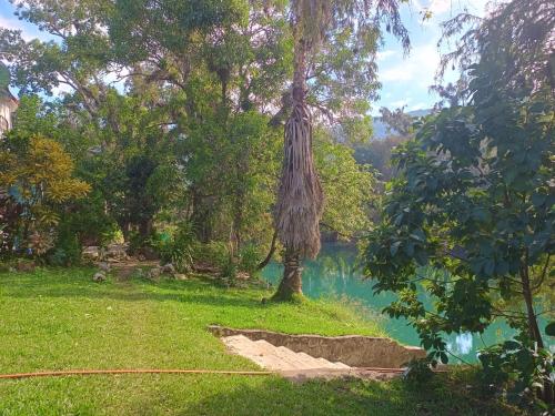 Tamasopo Y Sus Rios pet-friendly hotel Tambaca