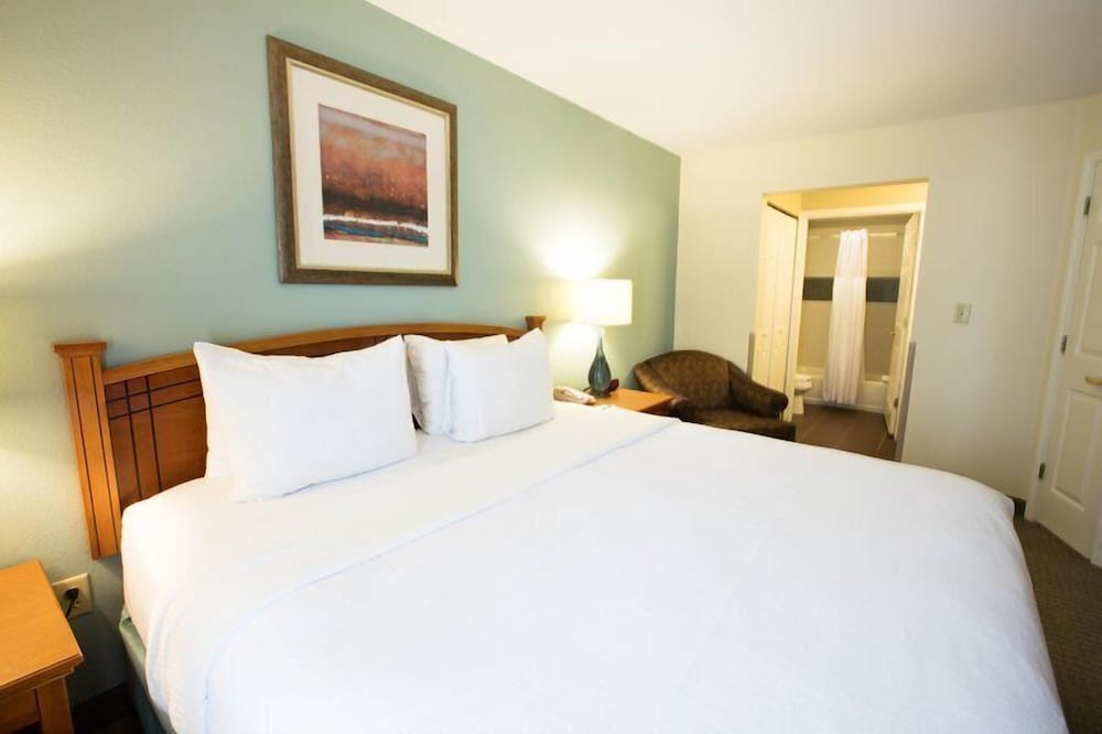 Staybridge Suites Houston West Energy Corridor by IHG - photo 7