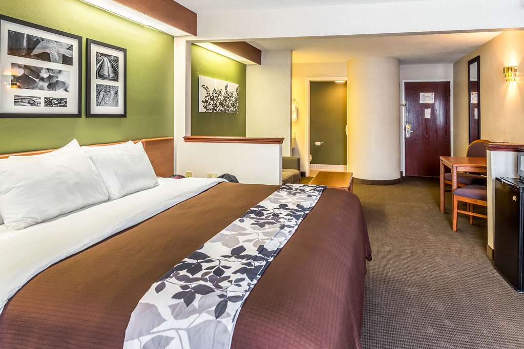 Sleep Inn & Suites Bay View Acme Travers City - photo 26