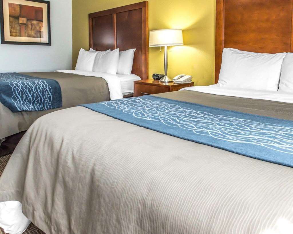 Comfort Inn Belle Vernon - photo 8