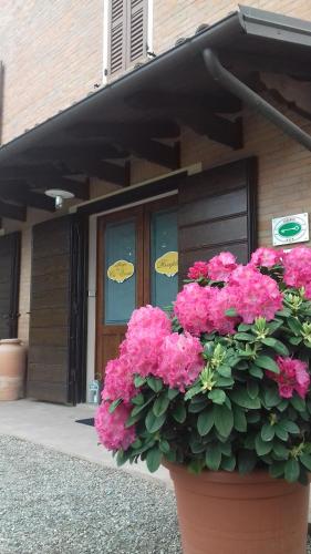 Albergo Da Ca' Vecia — hotel in Spilamberto