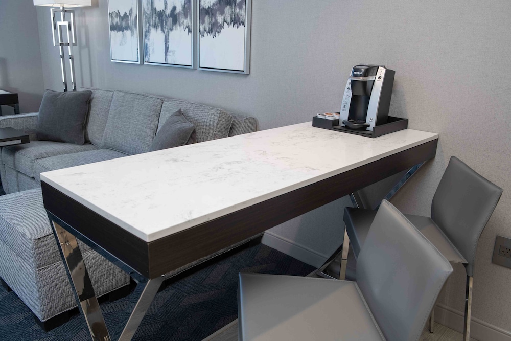 Residence Inn by Marriott Boston Downtown South End - photo 16