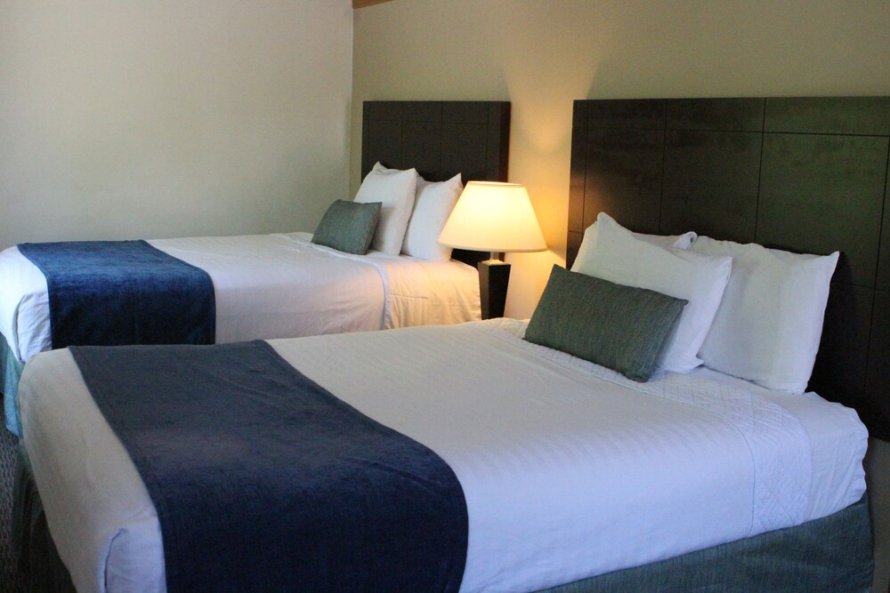 Bay Lodging Resort - photo 10