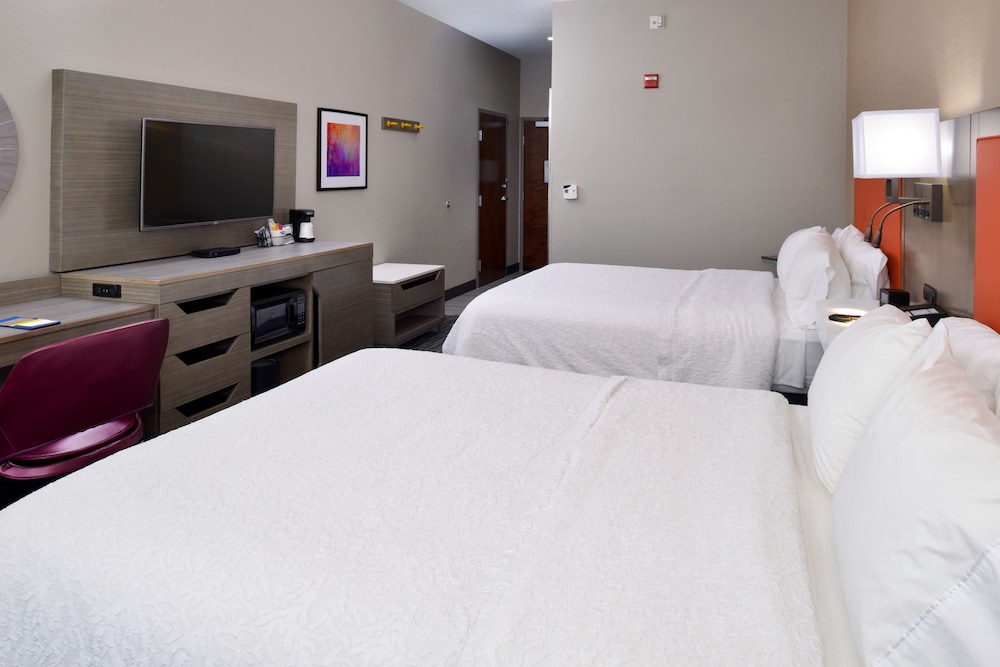 Hampton Inn Fort Stockton - photo 4