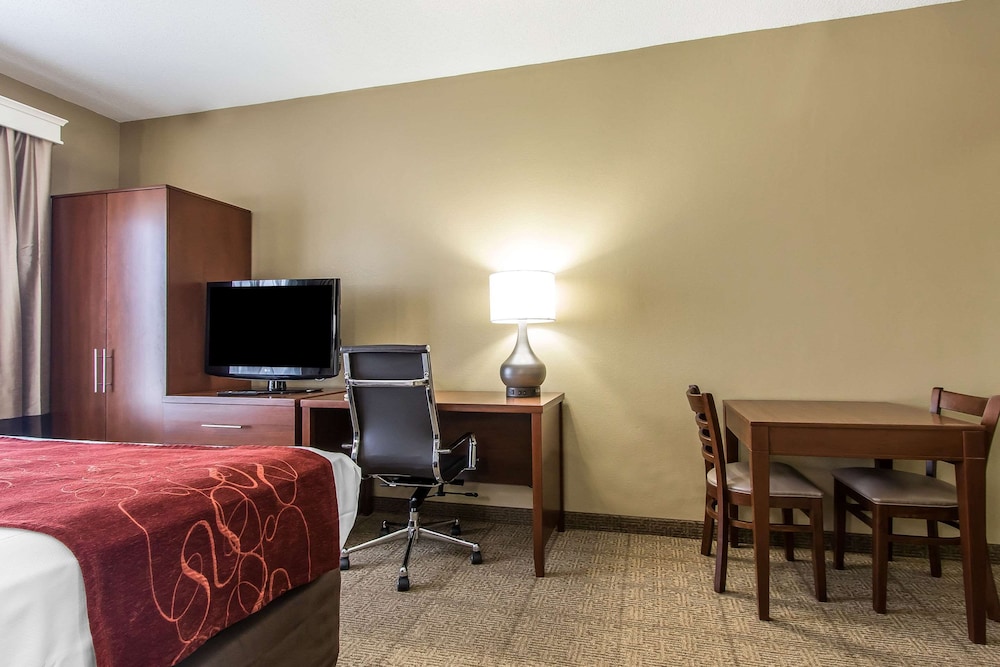 Comfort Suites Effingham Central - photo 20