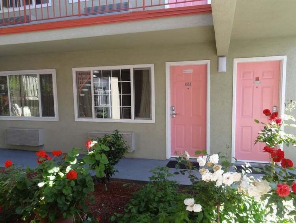 The Flamingo Motel - photo 16