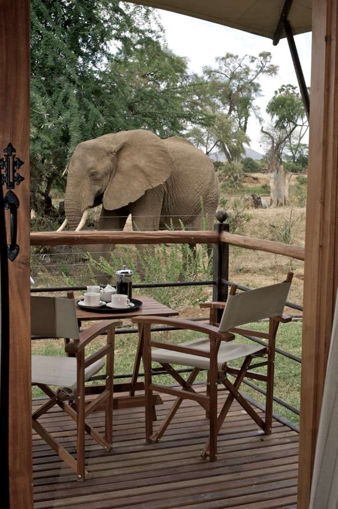 Ashnil Samburu Camp — 4-Star Luxury Hotel in Isiolo, Kenya