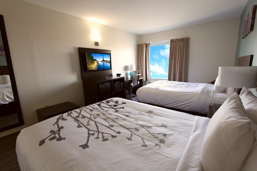 Sleep Inn & Suites Foley Gulf Shores North - photo 4