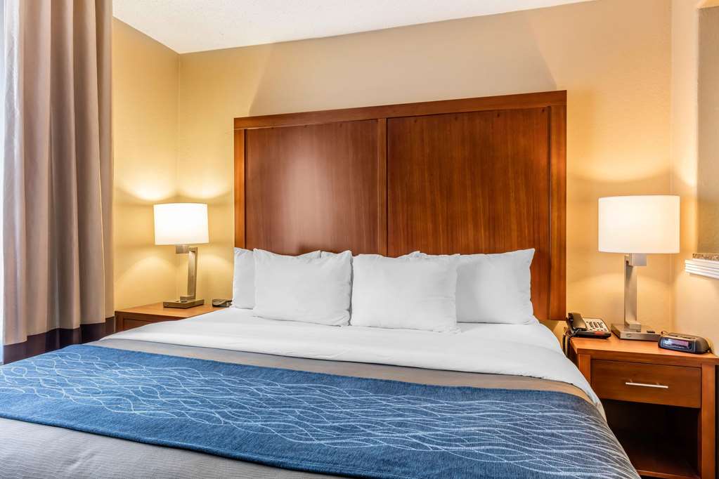 Comfort Inn & Suites Airport American Way - photo 15