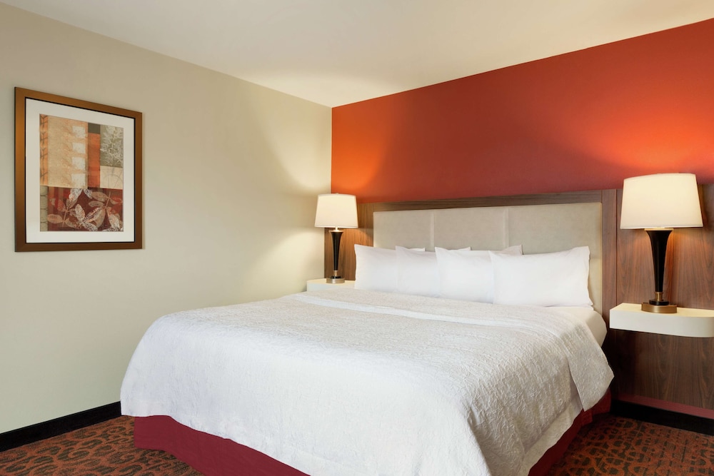 Hampton Inn Wichita Falls Sikes Senter Mall - photo 15