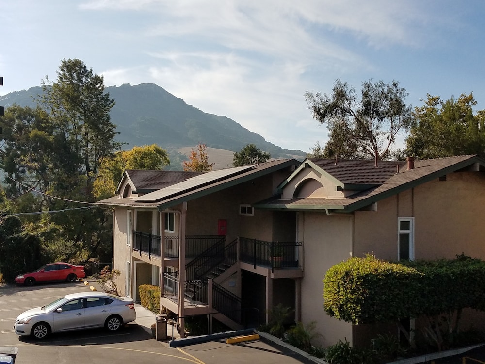 Olive Tree Inn & Suites by Howard Johnson WYNDHAM - photo 43