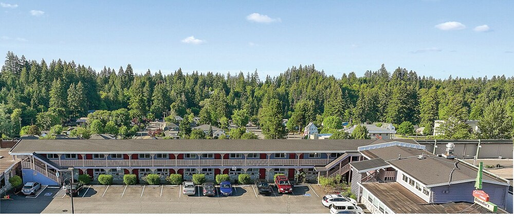 Shelton Inn - featured photo