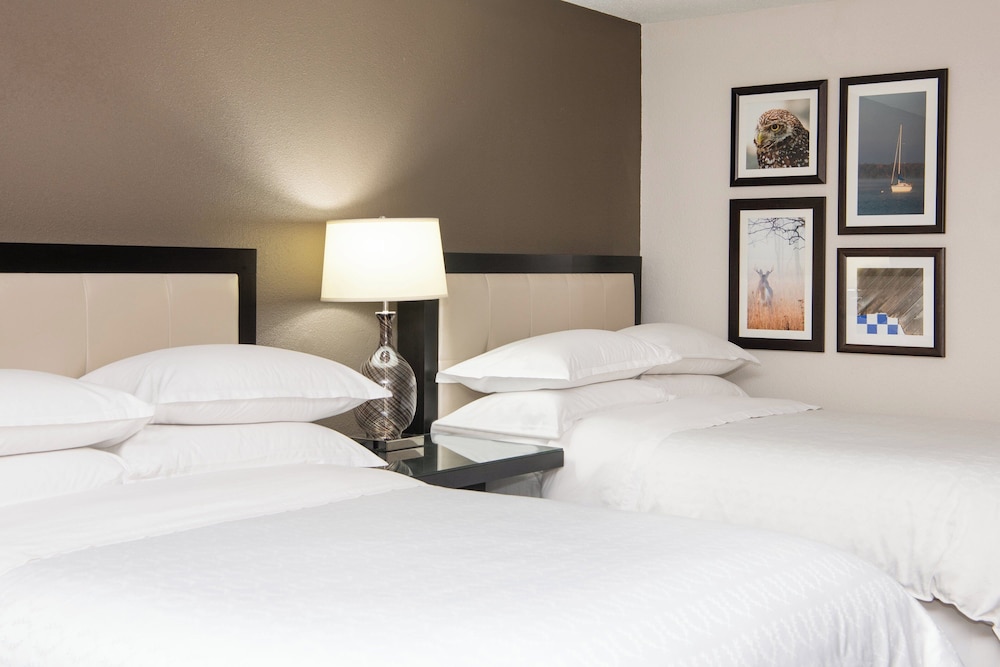 Sheraton Minneapolis West Hotel - photo 23