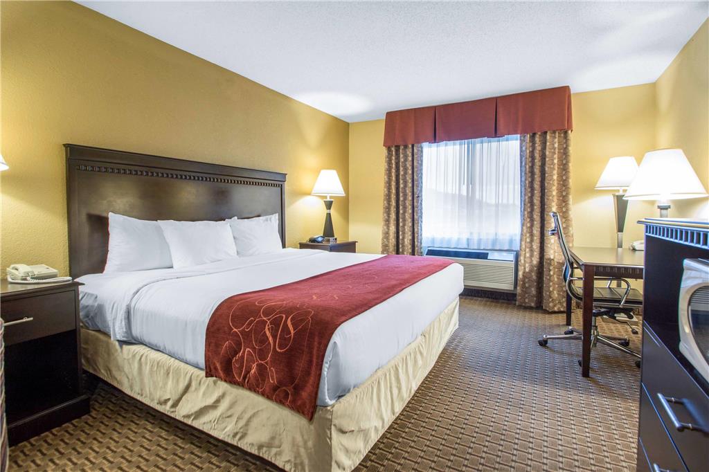 Comfort Suites Wisconsin Dells Area - photo 34