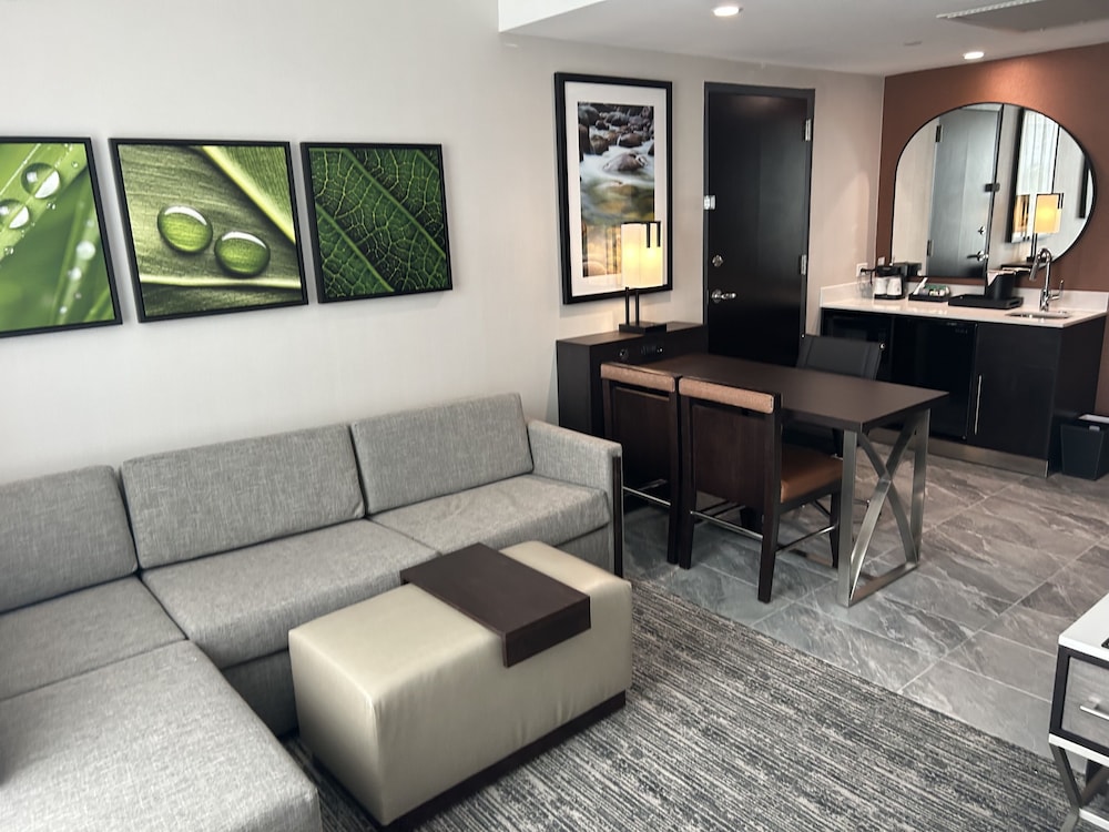 Embassy Suites By Hilton Alpharetta Halcyon - photo 17