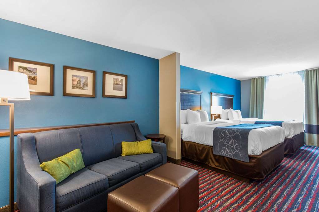 Comfort Suites Fairview Heights St. Louis - photo 24