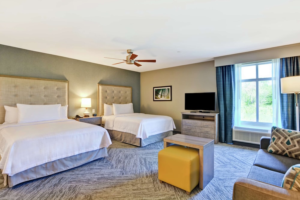 Homewood Suites by Hilton Hadley Amherst - photo 18